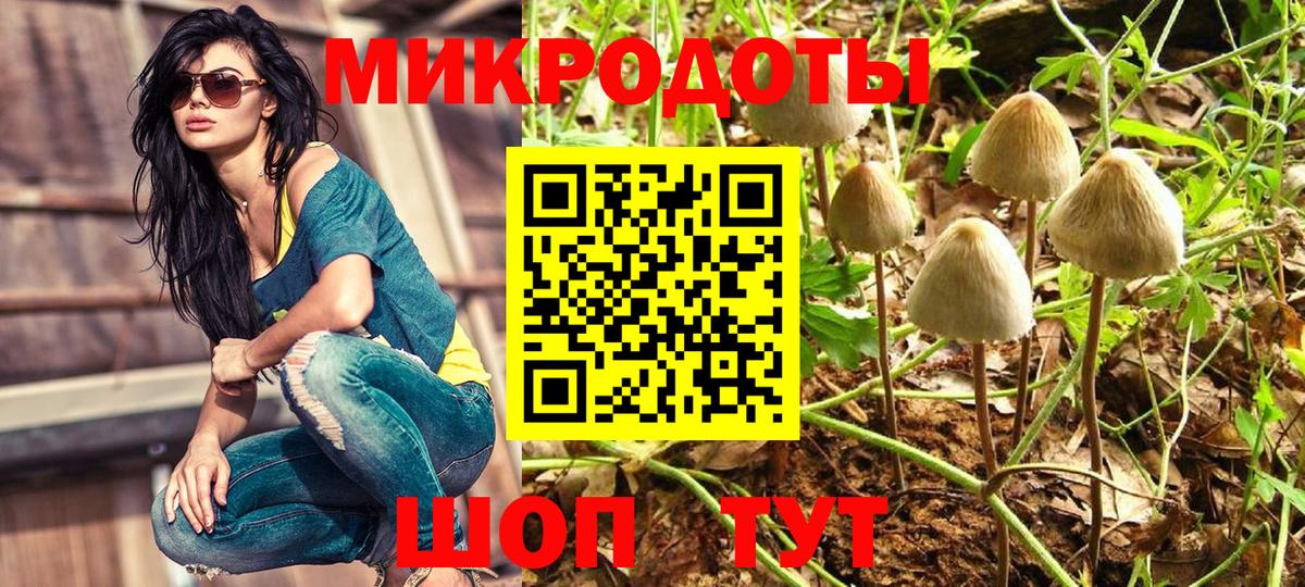 Галлюциногенные грибы прущие грибы Сланцы