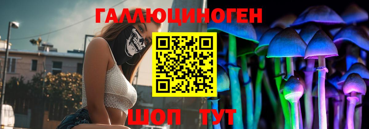 Сланцы  Галлюциногенные грибы Cubensis  Вход с VPN 